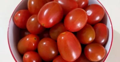 Tangkal Bahaya Penyakit Kanker dengan Rajin Makan Tomat Cherry