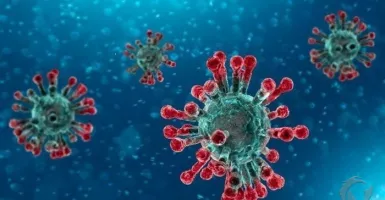 Dua Virus Ganas Bikin Amerika Tak Berdaya 