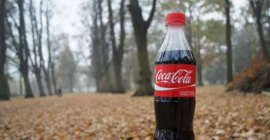 4 Manfaat Coca-Cola yang Bikin Pekerjaan Rumah Tangga Makin Mudah