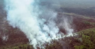 Awal 2021, Terjadi 173 Kebakaran Hutan di Indonesia