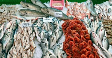 Rutin Makan 7 Jenis Ikan Ini Bisa Meningkatkan Kesuburan Pasangan