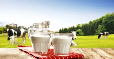 Rutin Konsumsi Susu Sapi A2, Mampu Mencegah Risiko Diabetes