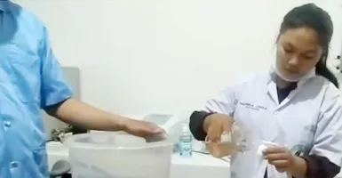 Hand Sanitizer & Sabun Ekstrak Mangrove Bikin Virus Mati Gaya