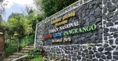 Kembali Buka, Wisatawan Bisa Mendaki ke Gunung Gede Pangrango