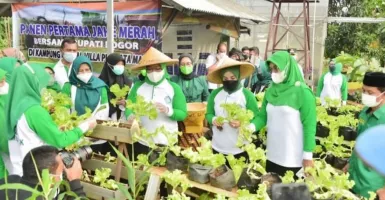 Uniknya Kampung Herbal di Kabupaten Bogor