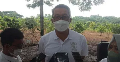 Kekurangan RTH, Pemkot Cirebon Tanam Pohon Mangrove