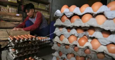 Telur Ayam Jadi Pemicu Inflasi di Cirebon pada Desember 2021