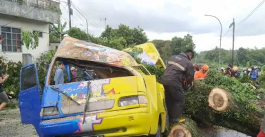 Duh! Pohon Tumbang Timpa Mobil di Tasikmalaya, 1 Korban Terluka