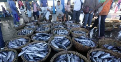 Pemkab Karawang Kembangkan Kawasan Pengolahan Ikan Pindang