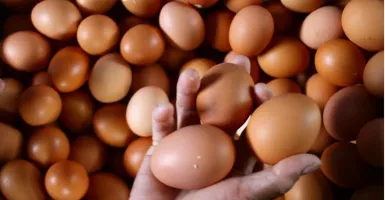 Makan Telur saat Sarapan, Manfaatnya Nggak Kira-Kira