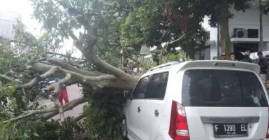 Sebuah Mobil Tertimpa Pohon Besar di Bogor, Begini Nasibnya