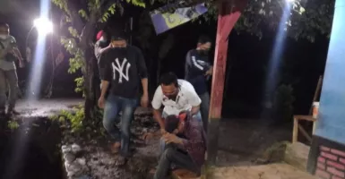 Belasan Tanaman Ganja ditemukan di Sukabumi, Begini Kata Polisi