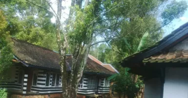 Desa Wisata di Purwakarta Raih Penghargaan, Bupati Senang Banget