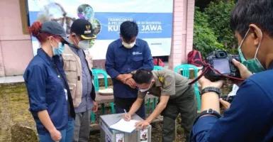 10 Ekor Kukang Jawa dilepaskan, Begini Kata BBKSDA Jawa Barat