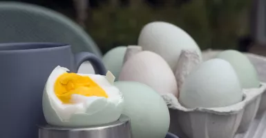 Tak Hanya Lezat, Ternyata Telur Asin juga Bagus untuk Kesehatan