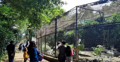 Puluhan Ribu Wisatawan Kunjungi Kebun Binatang Bandung