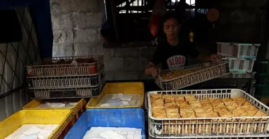Fakta Mengejutkan Soal Pabrik Tahu di Bogor yang Pakai Formalin