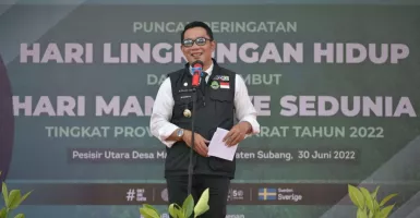 Ridwan Kamil Ajak Masyarakat Pesisir utara Aktif Menanam Mangrove