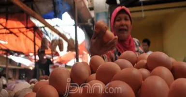 Harga Telur Ayam di Bogor Terus Naik, Jadi yang Tertinggi Sepanjang Sejarah