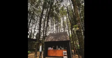 Kafe Hidden Gem di Bandung yang Wajib Kamu Kunjungi