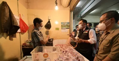 Kunjungi Pasar Baltos, Ridwan Kamil Sebut Ikan Mengalami Kenaikan