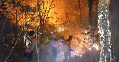 Kebakaran di Gunung Ciremai Hanguskan Ratusan Hektare Lahan