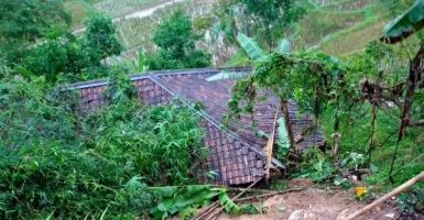 Tebing Setinggi 15 Meter di Cianjur Longsor, 12 Jiwa Mengungsi
