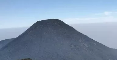 Muncul Ratakan, Pendakian Gunung Gede-Pangrango Ditutup Sementara