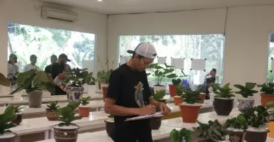 Puluhan Pencinta Anthurium Ikut Kontes di Indonesian Aroid Society