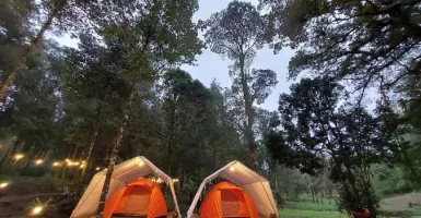 Hejo Forest, Rekomendasi Wisata di Bandung yang Wajib Kamu Kunjungi