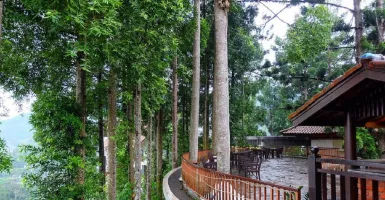 5 Rekomendasi Hotel di Bogor dengan Pemandangan Alam dan Romantis
