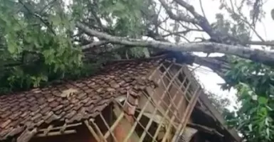 Hati-Hati Warga Sukabumi, Angin Kencang Terjadi di Sejumlah Kecamatan