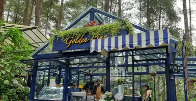 Rekomendasi Kafe di Bandung, Golden Pine Beri Suasana Minum Teh yang Berbeda