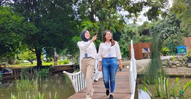 Taman Akuatik, Tempat Wajib Dikunjungi Bila ke Kebun Raya Bogor