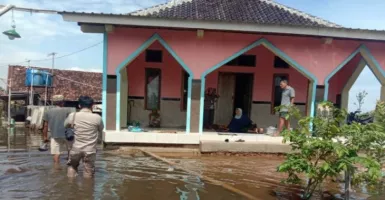 Banjir di Kota Pekalongan, 76 Warga Mengungsi
