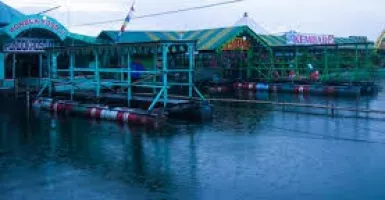 Warung Apung Rowo Jombor Klaten, Surga Kuliner Ikan Air Tawar