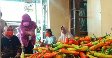 Duh, Pedasnya Harga Cabai Sumbang Inflasi Terbesar di Jateng