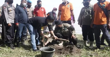 Minimalisasi Abrasi, 12.400 Mangrove Ditanam di Pantai Batang