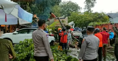 Brukk! Angin Kencang Bikin Pohon Timpa 3 Mobil di Semarang