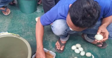 Bekal Wirausaha Saat Bebas, WBP Batang Dilatih Bikin Telur Asin