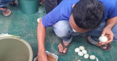 Begini Cara Membikin Telur Asin Lezat ala Peternak Batang