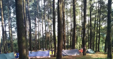 5 Tempat Camping di Sekitar Semarang, Pemandangannya Top!