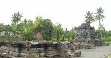 Ini 5 Candi Didekat Candi Borobudur yang Tak Kalah Eksotis