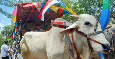 Desa Bengking Garap Agro Eduwisata, Belajar Bertani Sambil Piknik