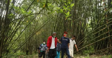 Wuih! Hutan Bambu di Tabanan Bali Ini Akan Dinamai Ganjar
