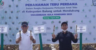 Ribuan Hektare Lahan di Batang Bakal Ditanami Tebu