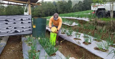 Tumpang Gilir, Pertanian Sistem Kearifan Lokal di Temanggung