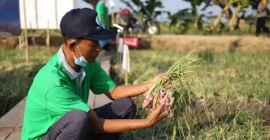 Harga Bawang Merah di Solo Tembus Rp 70.000/Kg