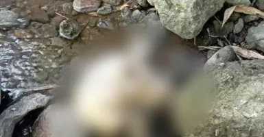 Ngeri! Kerangka Manusia Ditemukan di Tepi Sungai Depok Kendal