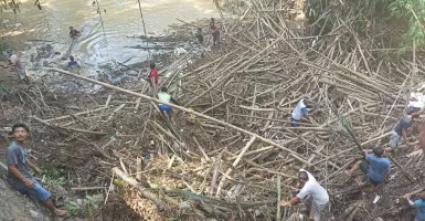 Antisipasi Banjir, Pemkab dan Warga Rembang Bersihkan Rumpun Bambu di Sungai